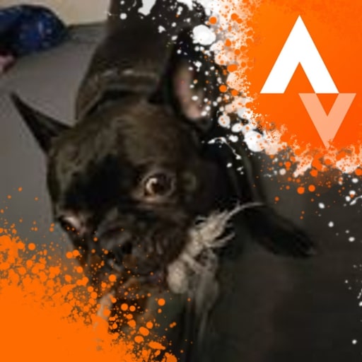 Strava - Kornel Bieniek